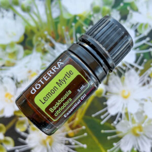 Lemon Myrtle essential oil