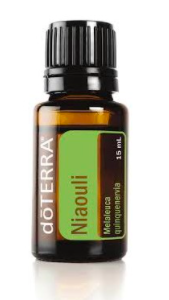 Niaouli essential oil