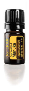 Manuka essential oil