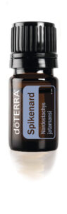 Spikenard essential oil