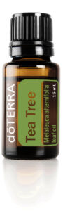 Tea Tree essential oil