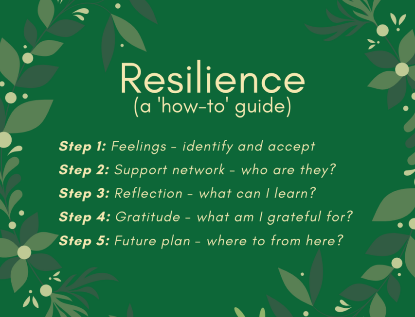 Resilience How to Guide